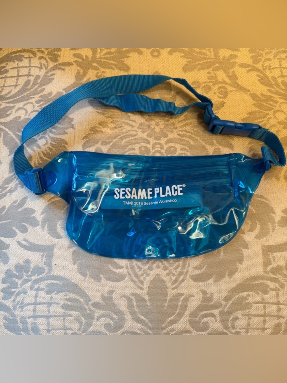 Sesame Place Clear C Through Fanny Pack Crossbody Water Resistant Double Zipper